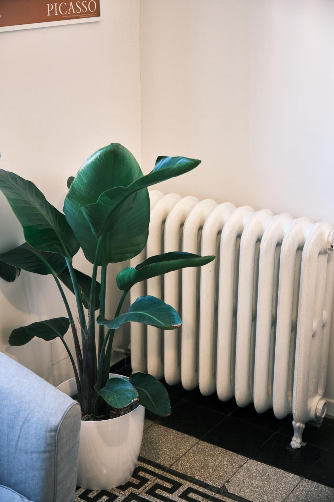 Carolina Trastevere House Apartment *